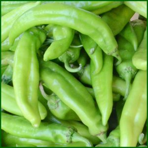 hatch-chile-peppers